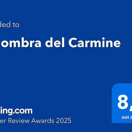 All'Ombra Del Carmine 帕多瓦 外观 照片